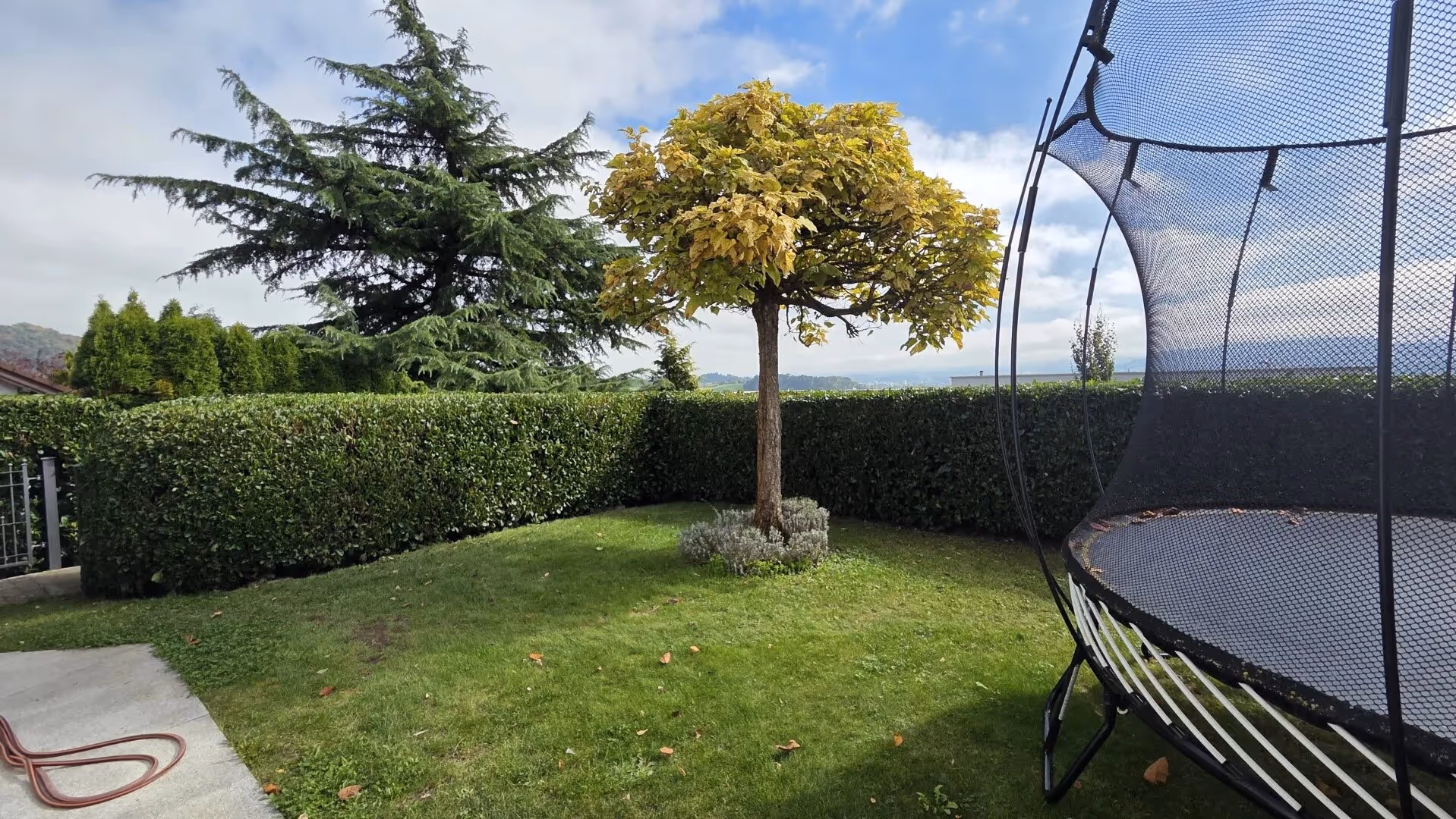 Kleiner Garten mit gepflegtem Rasen, einem Baum in der Mitte und einem Trampolin mit Netz rechts.